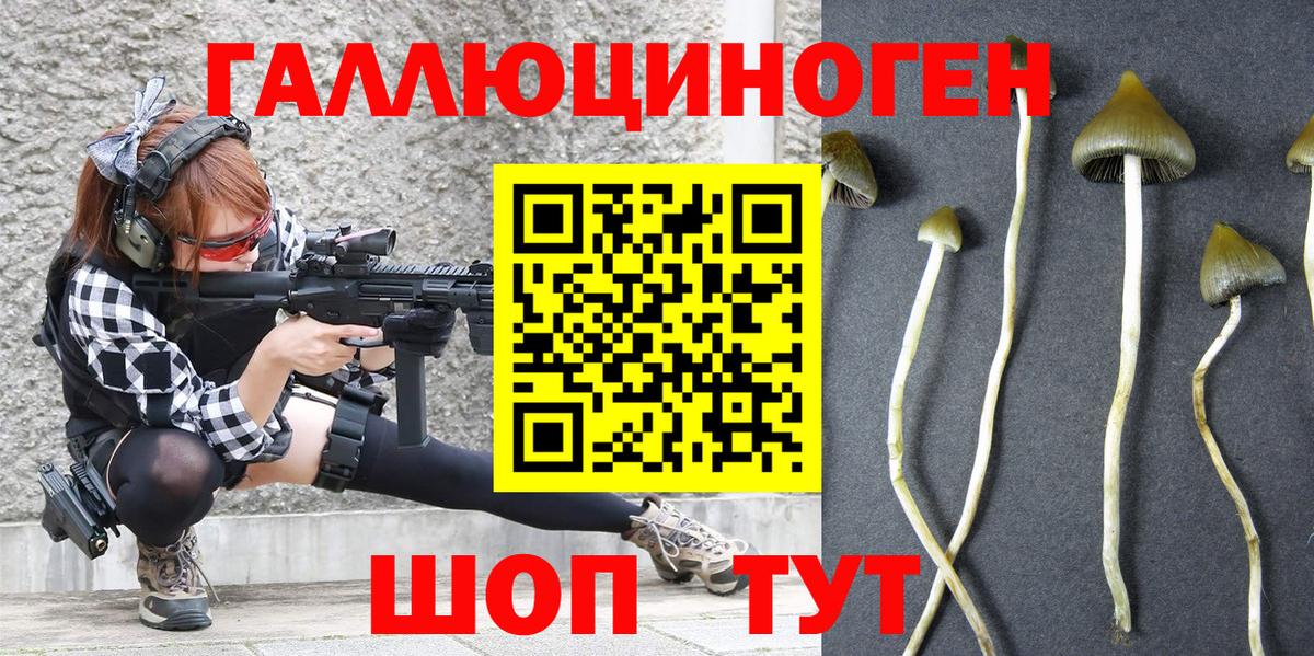 Галлюциногенные грибы ЛСД Нефтекумск